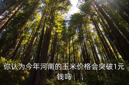 河南今年玉米價(jià)格會(huì)達(dá)到多少,今年河南多地受災(zāi)嚴(yán)重