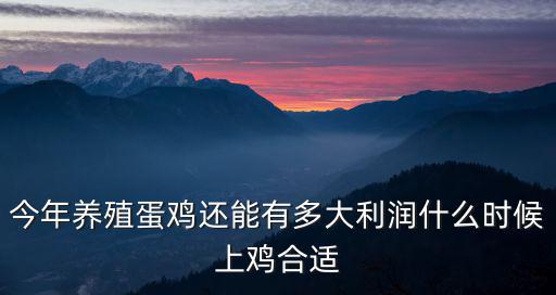 今年養殖蛋雞還能有多大利潤什么時候上雞合適