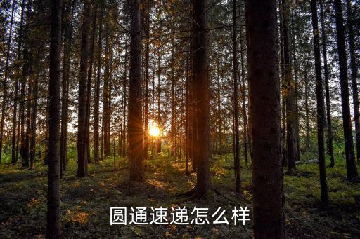 圓通速遞怎么樣