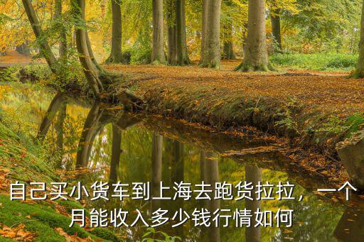 自己買小貨車到上海去跑貨拉拉，一個月能收入多少錢行情如何