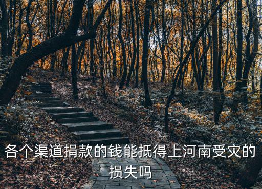各個渠道捐款的錢能抵得上河南受災的損失嗎