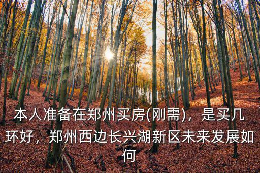 本人準備在鄭州買房(剛需)，是買幾環好，鄭州西邊長興湖新區未來發展如何