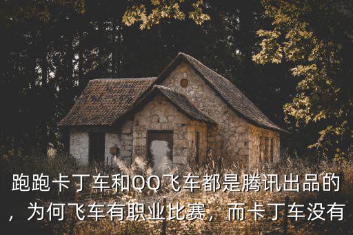 跑跑卡丁車和QQ飛車都是騰訊出品的，為何飛車有職業比賽，而卡丁車沒有