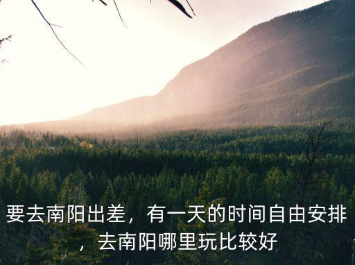 南陽市區凌晨去哪里玩,去南陽哪里玩比較好