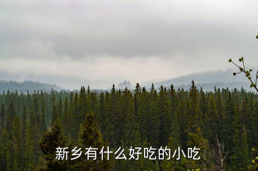 新鄉特價名片怎么樣,新鄉火車站有什么特色