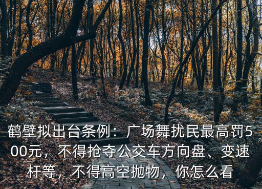 鶴壁擬出臺條例：廣場舞擾民最高罰500元，不得搶奪公交車方向盤、變速桿等，不得高空拋物，你怎么看