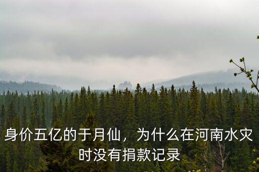 身價五億的于月仙，為什么在河南水災時沒有捐款記錄