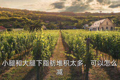 小腿和大腿下脂肪堆積太多，可以怎么減