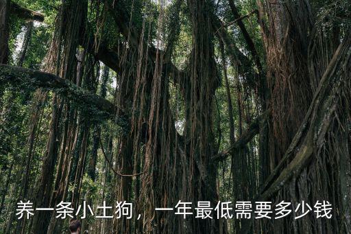 養(yǎng)一條小土狗，一年最低需要多少錢