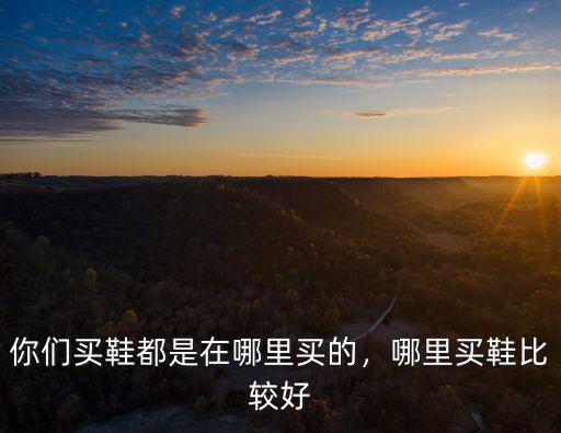 鄭州香牌皮鞋在哪里買,哪里買鞋比較好