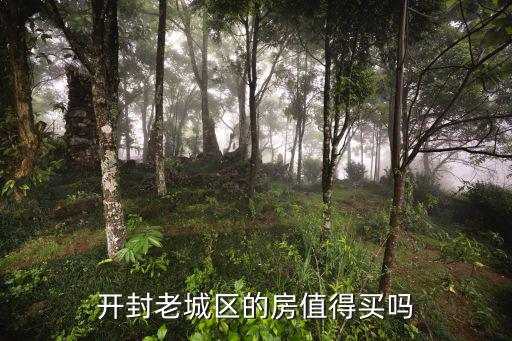 開封老城區(qū)的房子哪里買,開封老城區(qū)的房值得買嗎