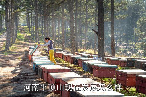 河南平頂山現在發展怎么樣