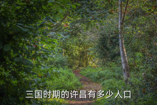 三國時期許昌有多少人口,三國時期的許昌有多少人口