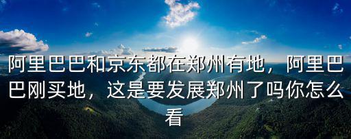 阿里巴巴和京東都在鄭州有地，阿里巴巴剛買地，這是要發(fā)展鄭州了嗎你怎么看