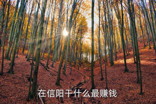 在信陽(yáng)干什么最賺錢