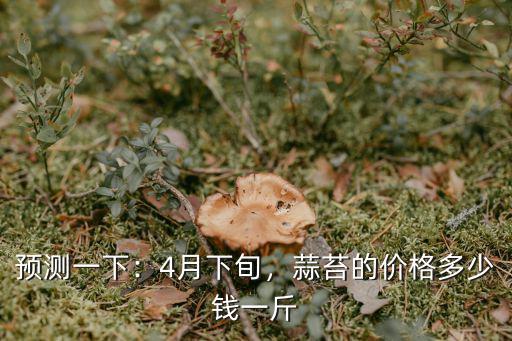 預測一下：4月下旬，蒜苔的價格多少錢一斤