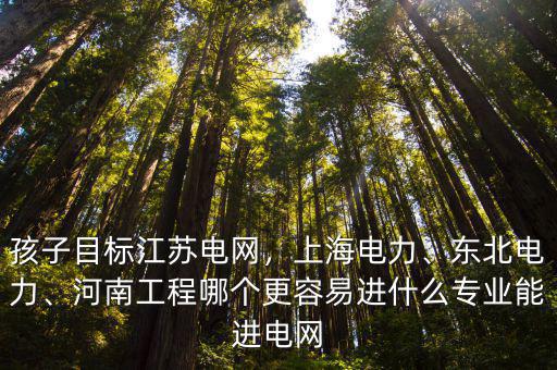 河南電網(wǎng)市局招多少人,河南國家電網(wǎng)校招只給市局