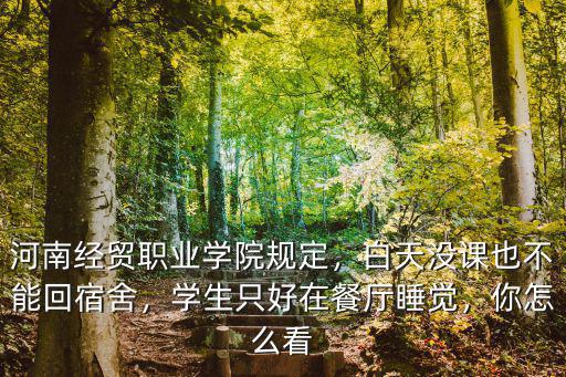 河南經貿職業學院寢室門怎么樣,河南經貿職業學院怎么樣