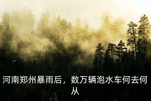 鄭州暴雨后有多少泡水車(chē),暴雨過(guò)后鄭州很多泡水車(chē)