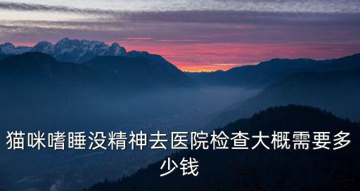 河南貓咪體檢一次大概多少錢,養(yǎng)一只銀漸貓咪要多少錢