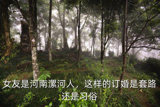 漯河?xùn)|的彩禮是多少錢,女友是河南漯河人