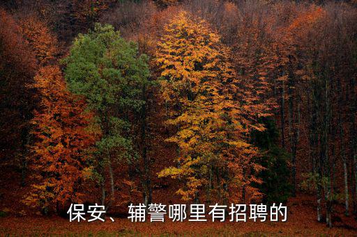 保安、輔警哪里有招聘的