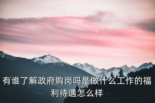鶴壁市政府購崗待遇怎么樣,福利待遇怎么樣