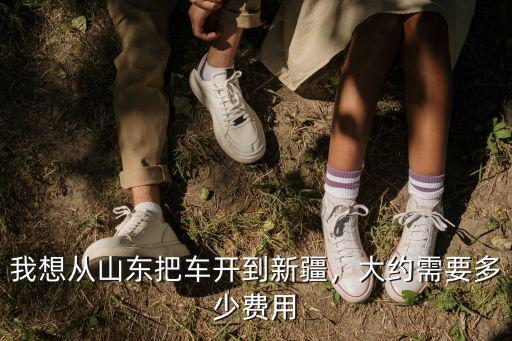 我想從山東把車開到新疆，大約需要多少費用