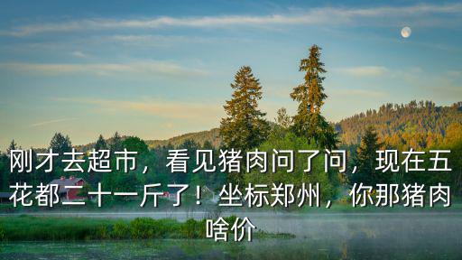 鄭州豬肉價格多少,豬肉估計多少錢一斤