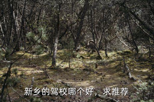 新鄉的駕校哪個好，求推薦