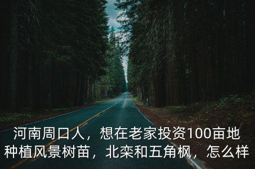 河南 周口人怎么樣,人杰地靈的河南周口