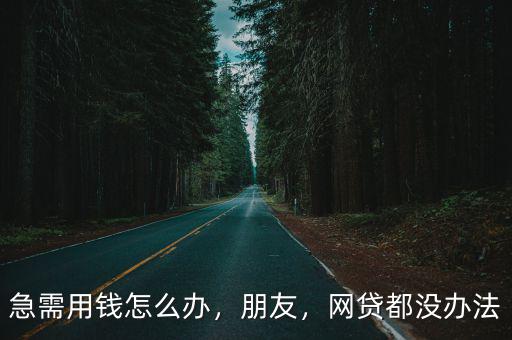 急需用錢怎么辦，朋友，網貸都沒辦法