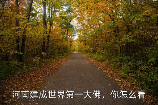 河南大佛多少錢一個(gè),河南有哪些大佛