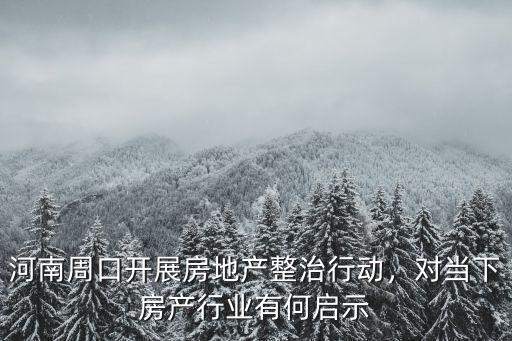 河南周口開展房地產整治行動，對當下房產行業有何啟示