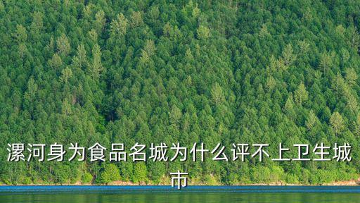 漯河衛到食品怎么樣,河南漯河的房價怎么樣