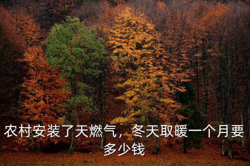 平頂山農村天然氣多少錢,冬天取暖一個月要多少錢