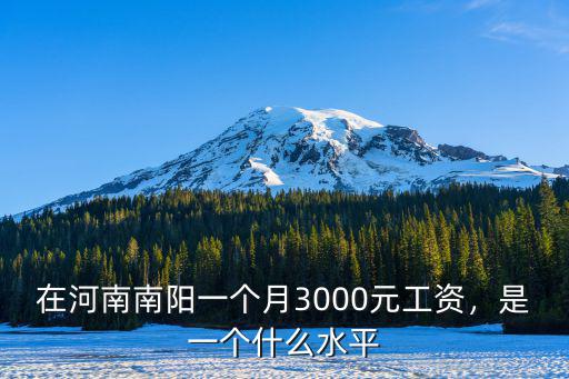 在河南南陽一個月3000元工資，是一個什么水平