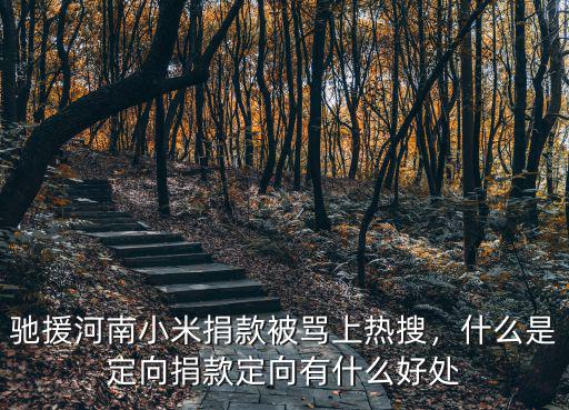 河南捐款第一時間在哪里看,司馬南給河南捐款了么