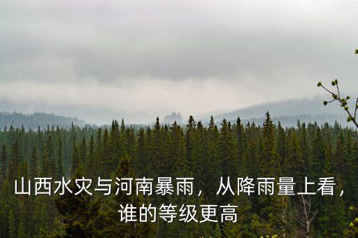 河南水災(zāi)外媒怎么看,對于這次河南水災(zāi)你怎么看