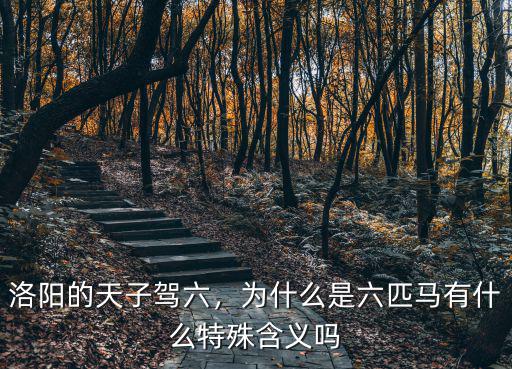 洛陽天子駕六怎么出土的,洛陽的天子駕六
