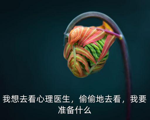 我想去看心理醫生，偷偷地去看，我要準備什么