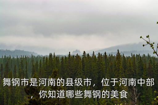 舞鋼市屬于河南哪里,舞鋼市是河南的縣級市