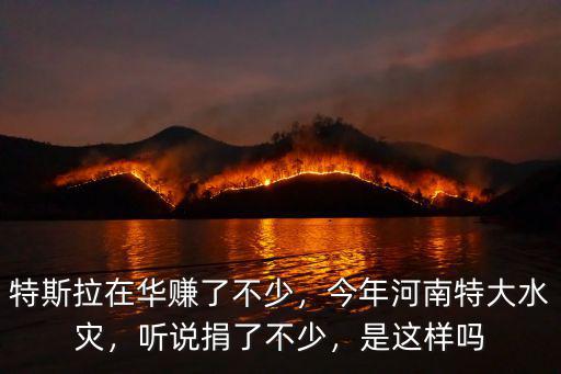 特斯拉在華賺了不少，今年河南特大水災，聽說捐了不少，是這樣嗎