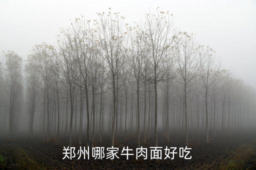 鄭州哪家牛肉面好吃