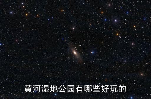 黃河濕地公園有哪些好玩的