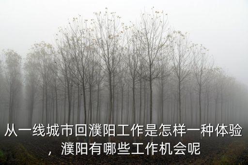 從一線城市回濮陽工作是怎樣一種體驗，濮陽有哪些工作機會呢