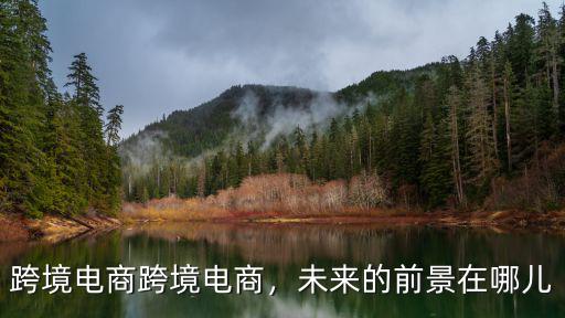 跨境電商跨境電商，未來的前景在哪兒