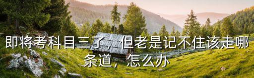 即將考科目三了，但老是記不住該走哪條道，怎么辦