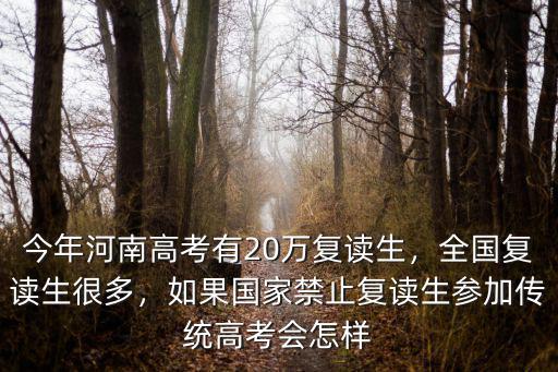 今年河南高考有20萬復讀生，全國復讀生很多，如果國家禁止復讀生參加傳統高考會怎樣