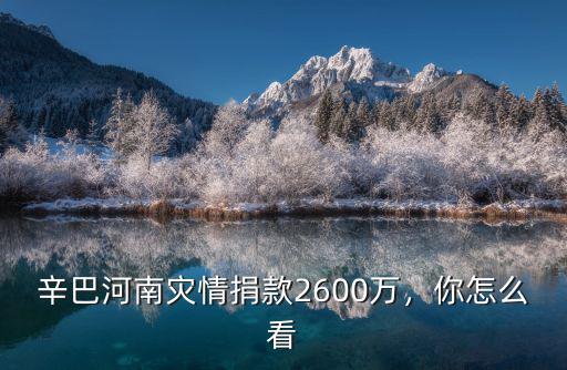 辛巴河南災情捐款2600萬，你怎么看